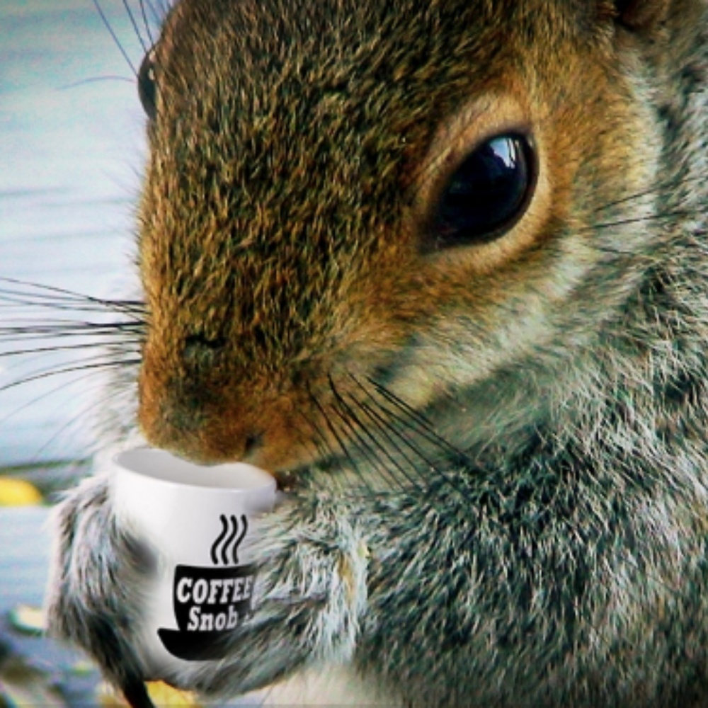 Poshmark Coffee Buzz